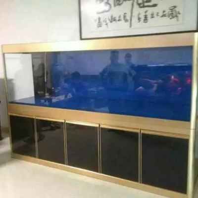 大型景觀魚缸制造廠家:多家專注于大型景觀魚缸制造的廠家 魚缸百科 第1張 大型景觀魚缸制造廠家:多家專注于大型景觀魚缸制造的廠家 大型景觀魚缸制造廠家:多家專注于大型景觀魚缸制造的廠家 魚缸百科 第1張