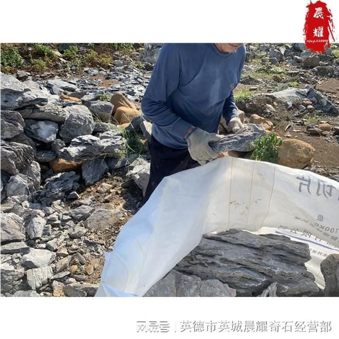 大型景觀魚缸制造廠家:多家專注于大型景觀魚缸制造的廠家 魚缸百科 第4張 大型景觀魚缸制造廠家:多家專注于大型景觀魚缸制造的廠家 大型景觀魚缸制造廠家:多家專注于大型景觀魚缸制造的廠家 魚缸百科 第4張