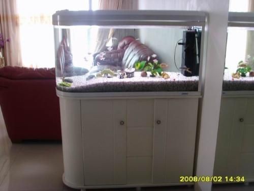 帶鞋柜的魚缸：帶鞋柜的魚缸價格