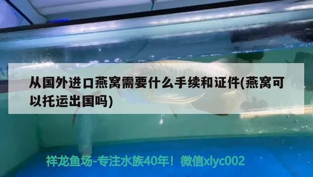 百色水族館有條銀龍魚兩條雙線金龍魚就有隊了又肯游動了 百色水族館有條銀龍魚兩條雙線金龍魚就有隊了又肯游動了 銀龍魚百科