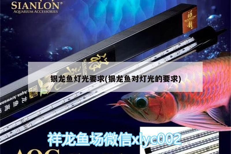 銀龍魚燈光要求(銀龍魚對燈光的要求) 銀龍魚燈光要求(銀龍魚對燈光的要求) 銀龍魚百科