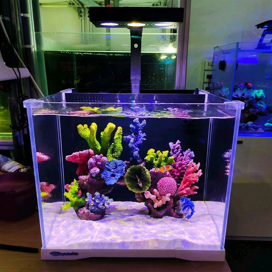 超白魚缸分幾種品種：超白魚缸的優(yōu)缺點(diǎn)