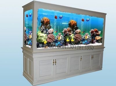 大型魚缸什么牌子的好:哪些品牌的大型魚缸比較好? 魚缸百科 第3張 大型魚缸什么牌子的好:哪些品牌的大型魚缸比較好? 大型魚缸什么牌子的好:哪些品牌的大型魚缸比較好? 魚缸百科 第3張