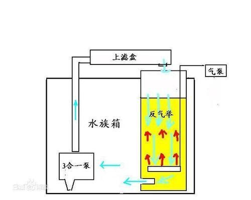 南昌市東湖區浪濤水族