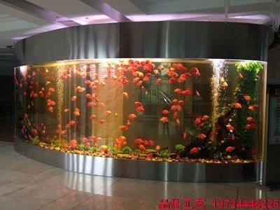 這些養殖場中哪家最有潛力，北京養殖場發展前景如何？ 這些養殖場中哪家最有潛力，北京養殖場發展前景如何？ 龍魚百科 第2張