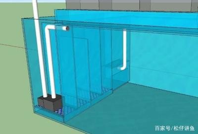 張灣區黃石路森森水族魚店（張灣區黃石路森森水族魚店電話）