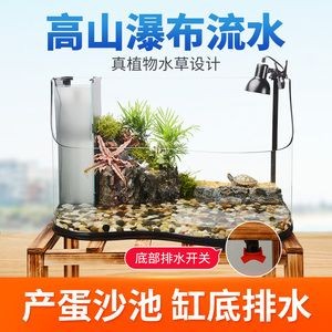 不用打理的魚缸造景方法有哪些：不用打理的魚缸造景方法