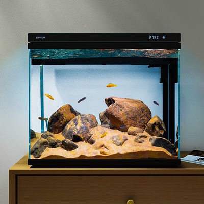 萊蕪市萊城區(qū)黨家水族館（萊蕪市萊城區(qū)黨家水族館電話）