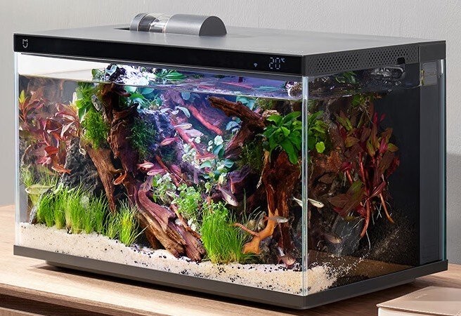 濱州市濱城區龍祥水族銷售店（濱州市濱城區龍祥水族銷售店地址）