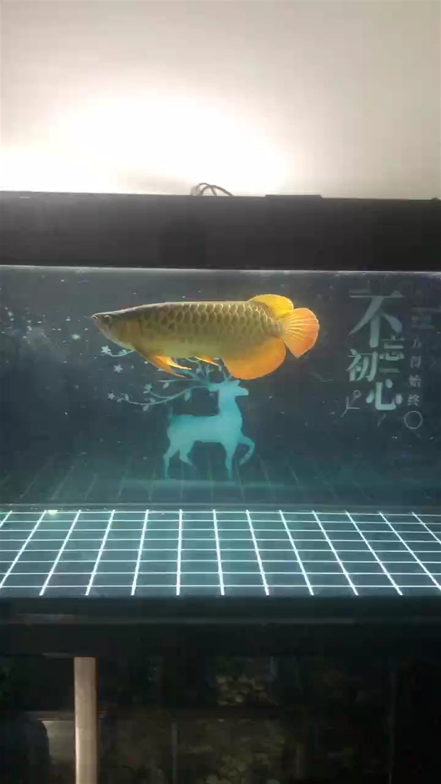 狀態(tài)如何