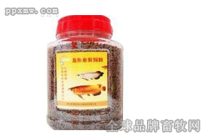 最好的龍魚飼料是哪種魚吃