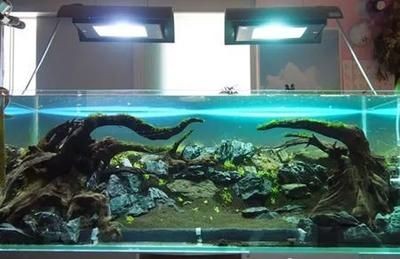 暗黑魚缸造景：暗黑風魚缸造景教程