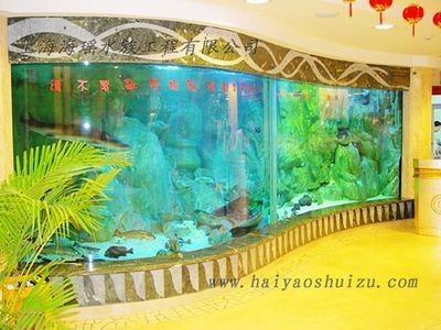 大型觀賞魚缸的價格：大型觀賞魚缸價格