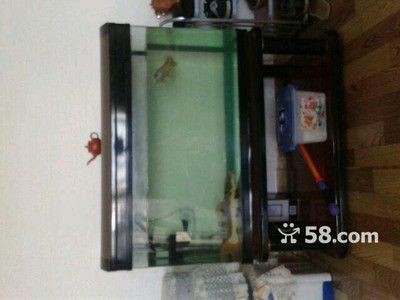 1米5魚缸長寬高的最佳比例：1米5魚缸長寬高最佳比例并沒有固定的黃金比例并沒有固定的答案 1米5魚缸長寬高的最佳比例：1米5魚缸長寬高最佳比例并沒有固定的黃金比例并沒有固定的答案 魚缸百科 第3張