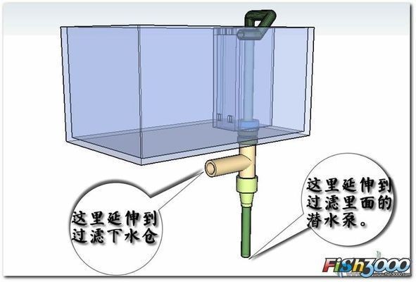 大魚(yú)缸小魚(yú)缸連接 魚(yú)缸百科 第2張 大魚(yú)缸小魚(yú)缸連接 大魚(yú)缸小魚(yú)缸連接 魚(yú)缸百科 第2張