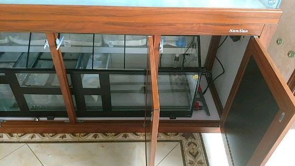 南昌市西湖區喜盈門巨金水族館（南昌市西湖區喜盈門巨金水族館電話）
