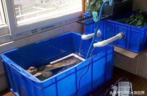 搬家先搬魚缸：大型魚缸搬運注意事項：魚缸搬運注意事項