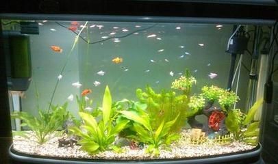 1200400600魚缸：1200