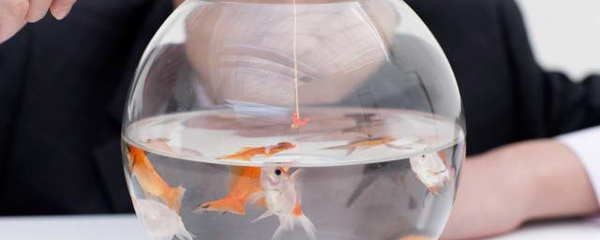 財位放魚缸好不好風水怎么看：魚缸養魚的風水注意事項