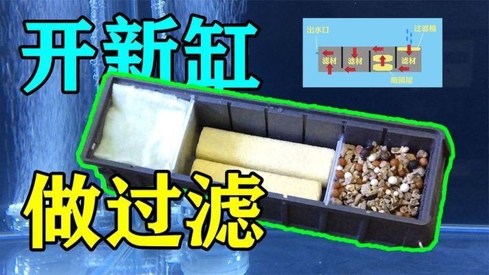 大蘇打魚缸怎么用好看視頻：大蘇打在養魚方面的應用