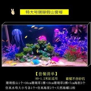 大魚缸水草怎么放進去養：大魚缸中的水草和魚缸中的水草養殖的準備工作需要做好準備工作