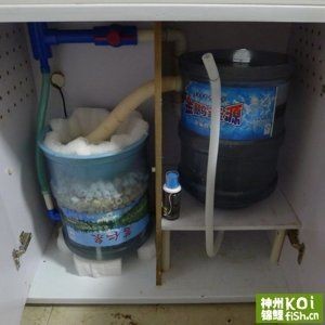 純凈水桶制作的魚缸過濾器怎么用:使用自制魚缸過濾器的一些步驟和注意事項 魚缸百科 第3張 純凈水桶制作的魚缸過濾器怎么用:使用自制魚缸過濾器的一些步驟和注意事項 純凈水桶制作的魚缸過濾器怎么用:使用自制魚缸過濾器的一些步驟和注意事項 魚缸百科 第3張