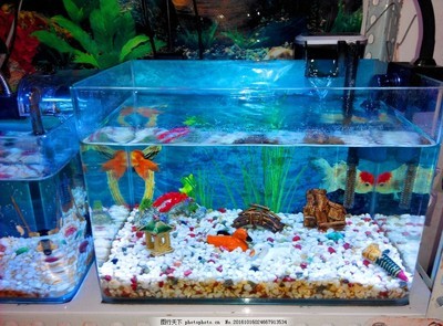 東阿縣銅城明慶魚具水族大世界