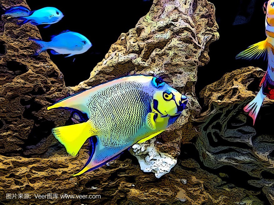 大洋水族魚缸怎么樣：大洋水族魚缸的優(yōu)點(diǎn)與養(yǎng)護(hù)