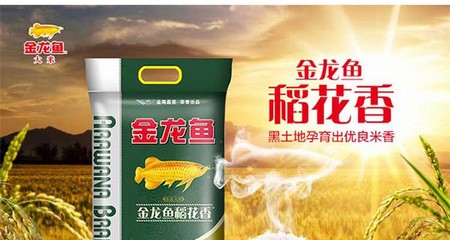 極品血紅龍魚價格（極品血紅龍魚多少錢一條） 極品血紅龍魚價格（極品血紅龍魚多少錢一條） 紅龍魚百科
