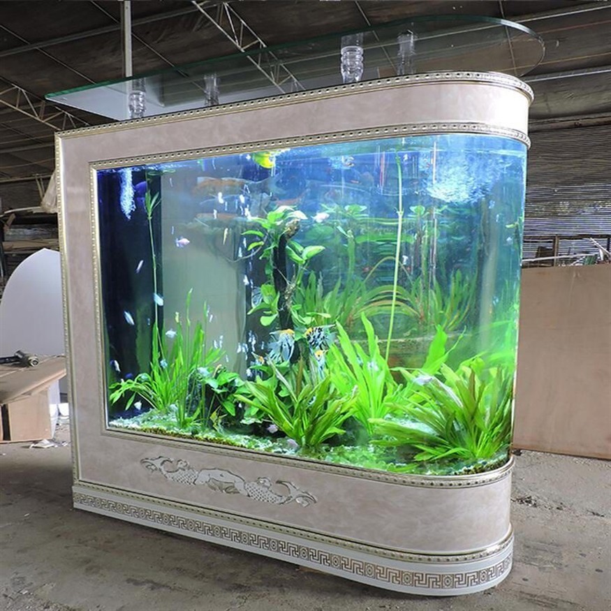 100cm魚缸養(yǎng)9條金魚：100cm魚缸養(yǎng)9條金魚是否適合 100cm魚缸養(yǎng)9條金魚：100cm魚缸養(yǎng)9條金魚是否適合 魚缸百科 第3張