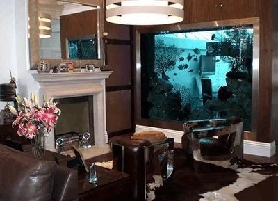 多邊形魚缸安全嗎好嗎：多邊形魚缸的優劣分析