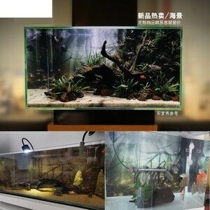 1.5米魚缸簡單造景圖紙：1.5米魚缸簡單造景圖紙，如何簡單造景1.5米魚缸的建議和方法