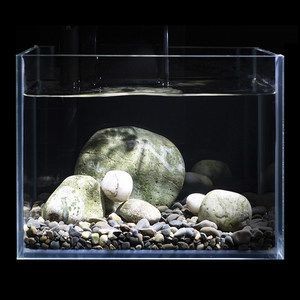 鵝卵石造景魚缸教學視頻：如何利用鵝卵石打造低成本的魚缸造景魚缸教學視頻推薦