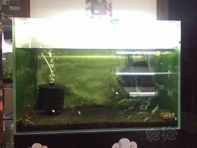 綠園區北京華聯超市青年路店完美鮮花店