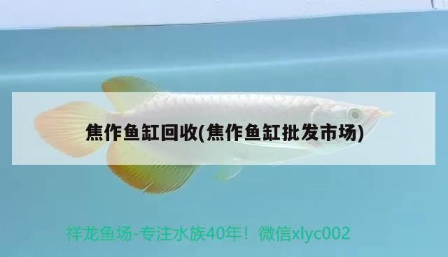 焦作魚缸回收(焦作魚缸批發市場)