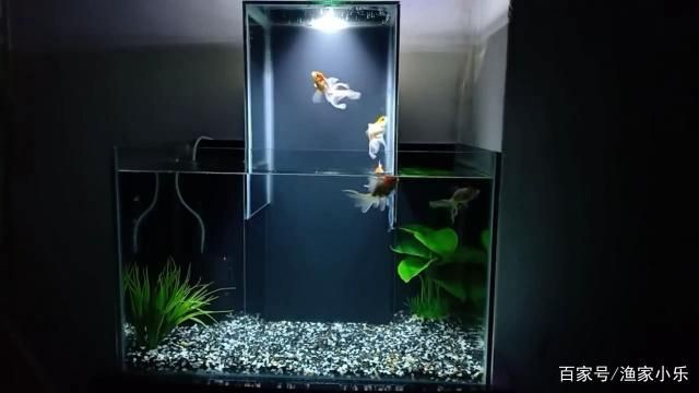 1.2米的魚缸制作視頻教程全集