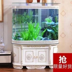 半圓形的魚缸好不好看：半圓形魚缸在風水學中具有獨特的形狀和裝飾效果