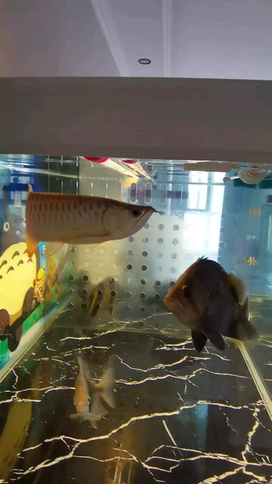 吃的不猛了