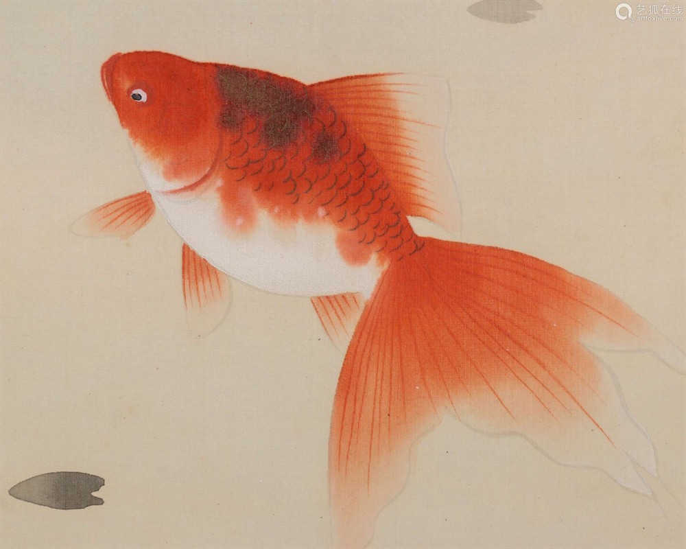 6條小金魚要多大魚缸養(yǎng)：養(yǎng)金魚需要考慮的因素包括金魚的大小和數(shù)量、魚缸的尺寸和水溫等 6條小金魚要多大魚缸養(yǎng)：養(yǎng)金魚需要考慮的因素包括金魚的大小和數(shù)量、魚缸的尺寸和水溫等 魚缸百科 第4張