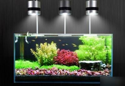 晉中開發區金海棠水族園林設計服務部（晉中開發區金海棠水族園林設計服務部電話）
