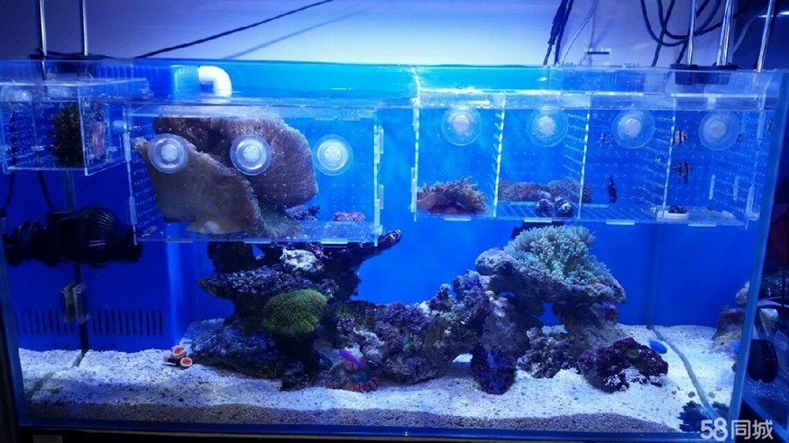 成品魚缸改裝方案設計圖：尋找成品魚缸改裝方案設計圖的幾種常見成品魚缸改裝方案