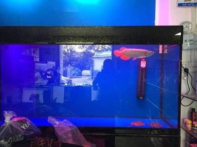 玻璃魚缸使用年限 玻璃魚缸使用年限 魚缸百科 第4張
