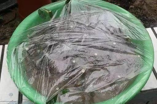 冬天魚缸套上保溫薄膜：冬天魚缸套上保溫薄膜是一種實用且經(jīng)濟的保溫工具
