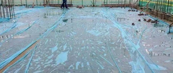冬天魚缸套上保溫薄膜：冬天魚缸套上保溫薄膜是一種實用且經(jīng)濟的保溫工具