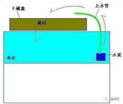 安彩魚缸過濾器怎么用的視頻：關于安彩魚缸過濾器的使用方法和使用方法的視頻教程 安彩魚缸過濾器怎么用的視頻：關于安彩魚缸過濾器的使用方法和使用方法的視頻教程 魚缸百科 第3張