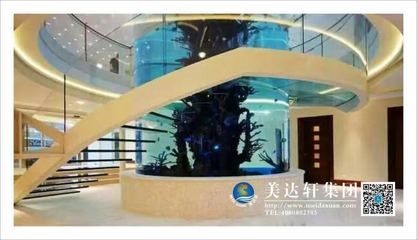 大型鋼化玻璃魚缸多少錢一組:大型鋼化玻璃魚缸價(jià)格范圍 魚缸百科 第4張 大型鋼化玻璃魚缸多少錢一組:大型鋼化玻璃魚缸價(jià)格范圍 大型鋼化玻璃魚缸多少錢一組:大型鋼化玻璃魚缸價(jià)格范圍 魚缸百科 第4張