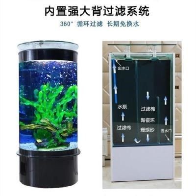 如何判斷觀賞魚的品相，判斷觀賞魚品相時可以從以下幾個方面進行