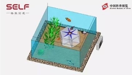 12mm玻璃魚缸極限多少升：12mm玻璃魚缸極限容量是多少升魚缸的極限容量是多少升 12mm玻璃魚缸極限多少升：12mm玻璃魚缸極限容量是多少升魚缸的極限容量是多少升 魚缸百科 第1張
