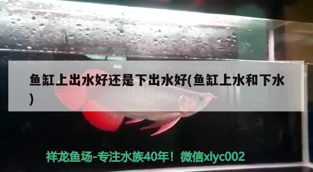 魚缸上出水好還是下出水好(魚缸上水和下水) 魚缸上出水好還是下出水好(魚缸上水和下水) 銀龍魚百科