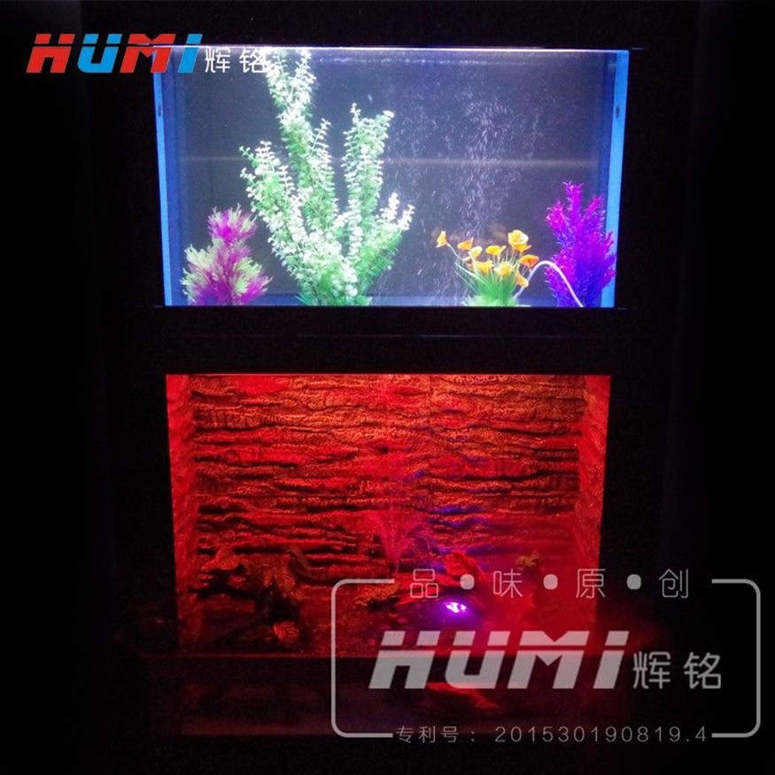 寶鉆魚缸和彩蝶哪個好：如何選擇合適的魚缸